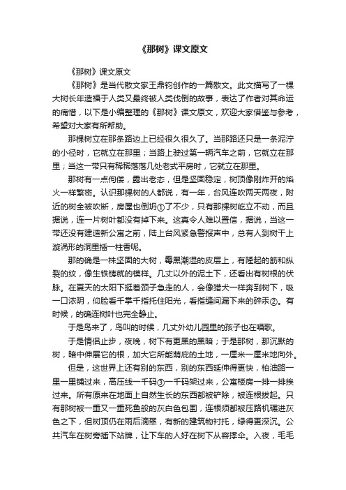 《那树》课文原文