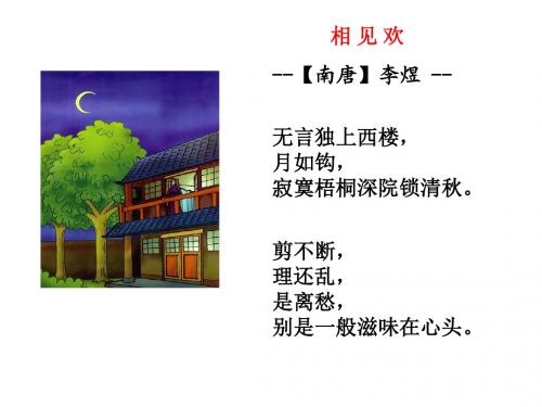 相见欢