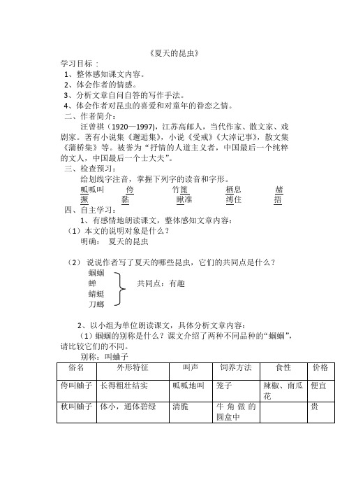 夏天的昆虫