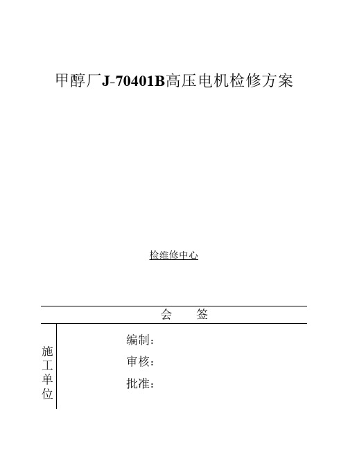 高压电机检修方案