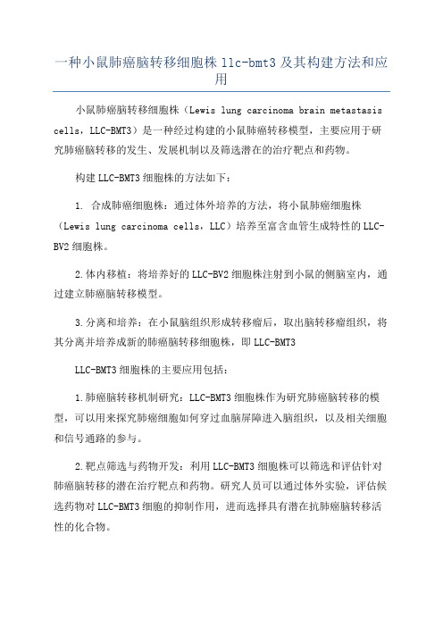 一种小鼠肺癌脑转移细胞株llc-bmt3及其构建方法和应用