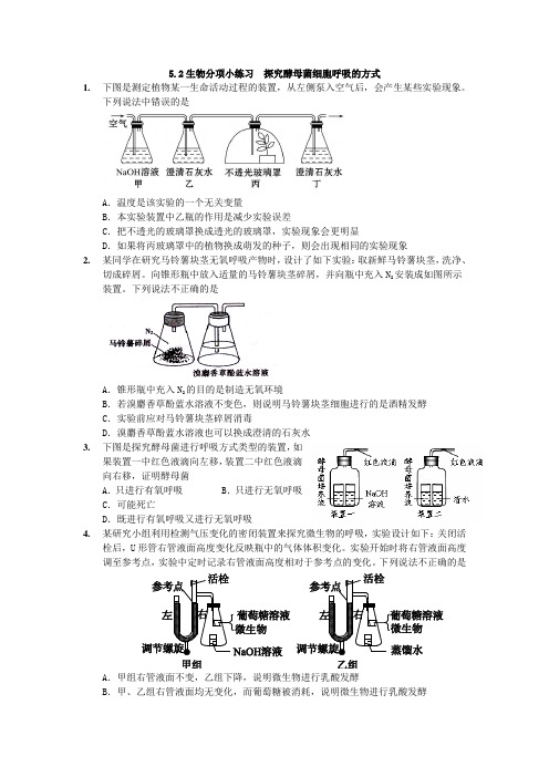 5.2探究酵母菌细胞呼吸的方式(生物精品练习)