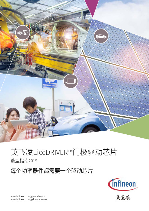 英飞凌EiceDRIVER门极驱动芯片 选型指南2019说明书