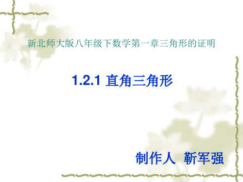 新北师大版 八年级下册数学 第一章 三角形的证明 1.2.1 直角三角形