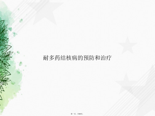 耐多药结核病的预防和治疗讲课文档