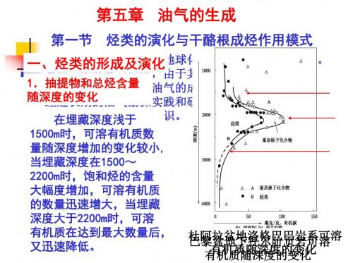 地球化学-第五章油气生成1