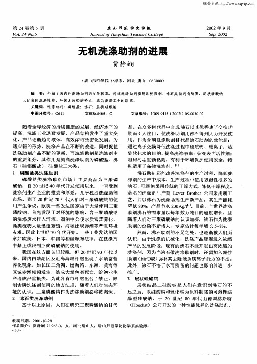 无机洗涤助剂的进展