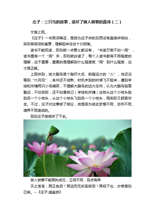 庄子：三只鸟的故事，道尽了做人做事的真谛（二）