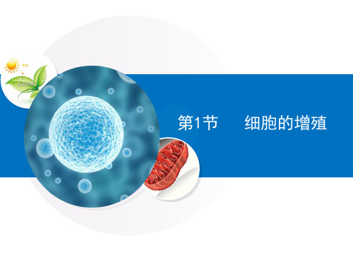 人教版高中生物必修一6.1《细胞的增殖》优质课件
