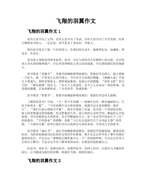 飞翔的羽翼作文