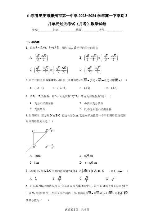 山东省枣庄市滕州市第一中学2023-2024学年高一下学期3月单元过关考试(月考)数学试卷