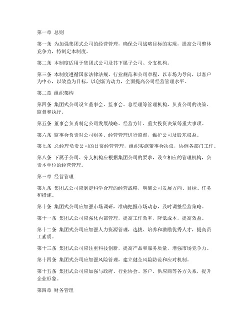 集团式公司经营管理制度