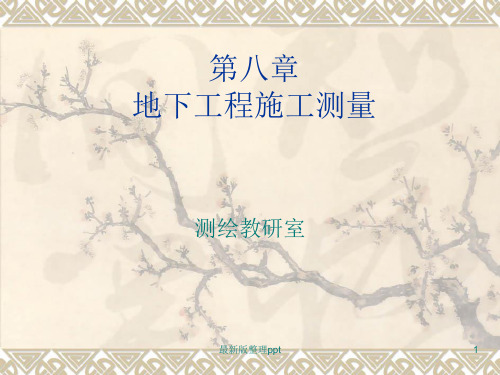 工程测量学.第八章第四讲ppt课件