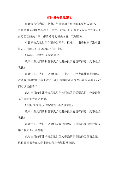 审计报告意见范文