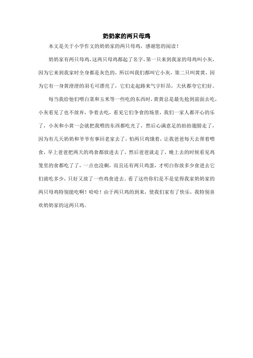 奶奶家的两只母鸡_小学作文