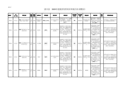 2020年项目库统计表