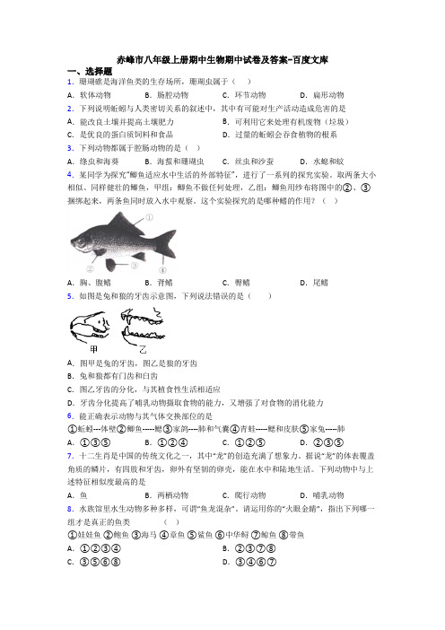 赤峰市八年级上册期中生物期中试卷及答案-百度文库