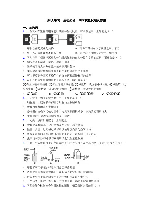 北师大版高一生物必修一期末模拟试题及答案