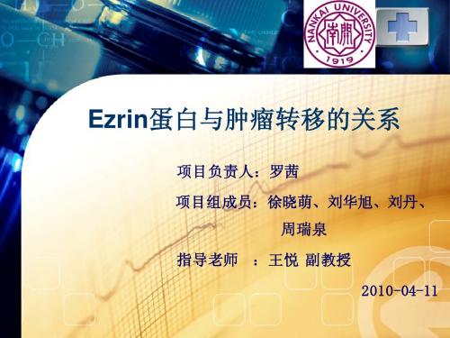 Ezrin蛋白与肿瘤转移