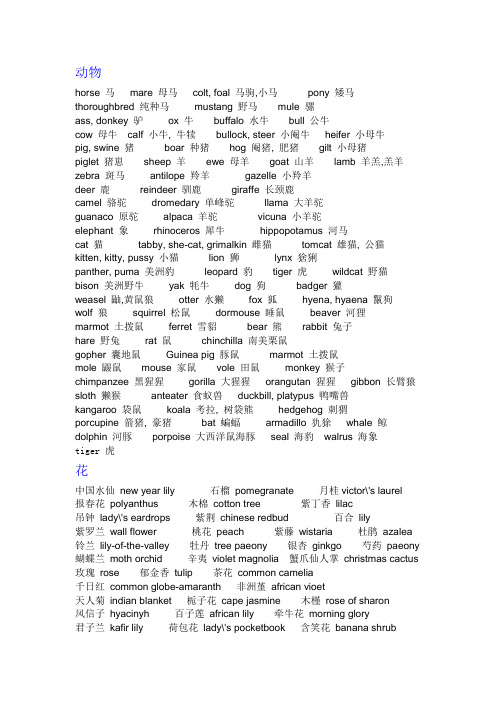 动物花朵水果词汇
