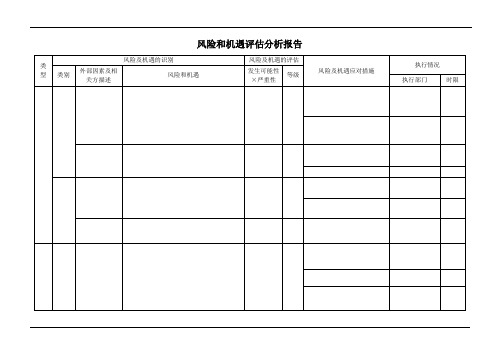 风险和机遇评估分析报告模板