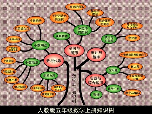 人教版五年级上册数学总复习【知识树】【期末总结】