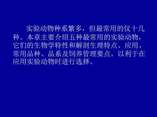 常用实验动物的特点及应用(1)