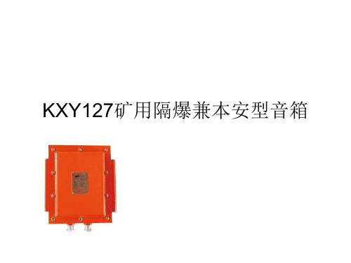 KXY127矿用隔爆兼本安型音箱