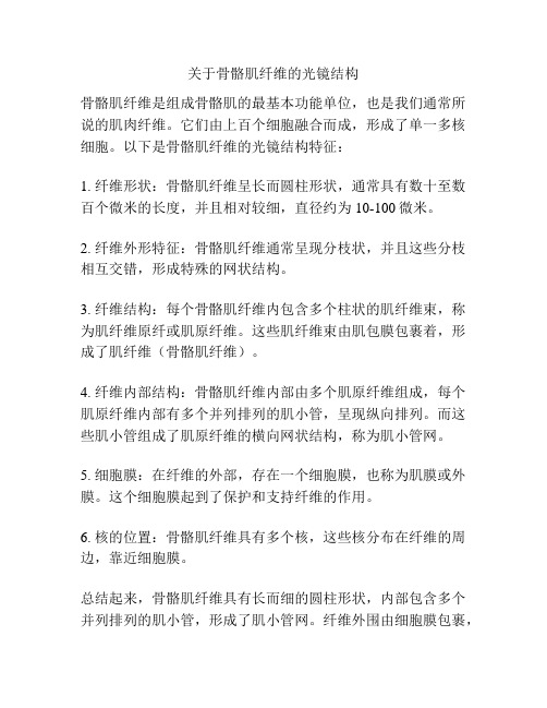 关于骨骼肌纤维的光镜结构