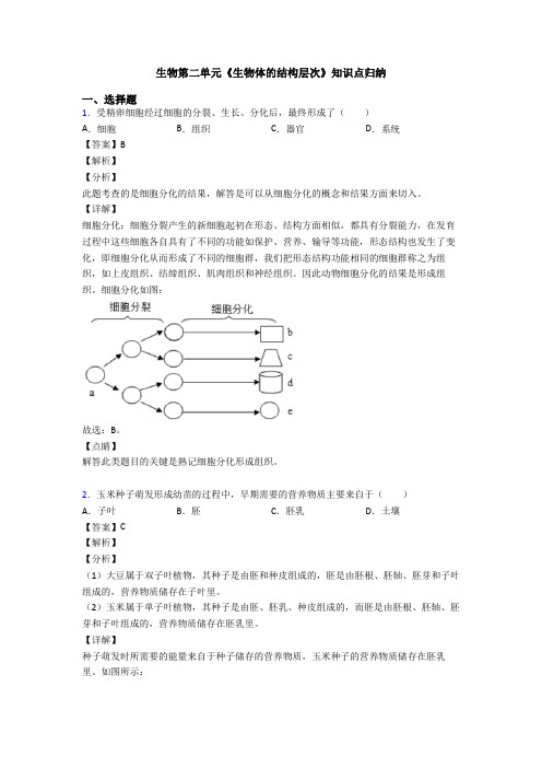 生物第二单元《生物体的结构层次》知识点归纳