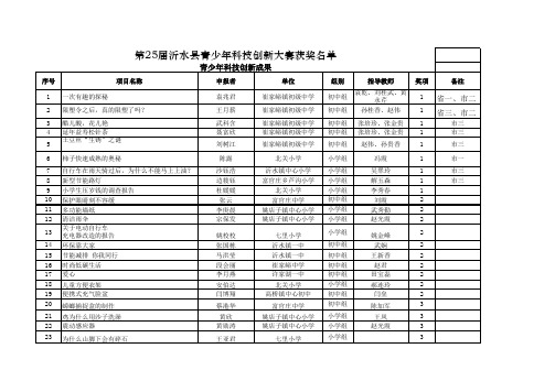 创新成果