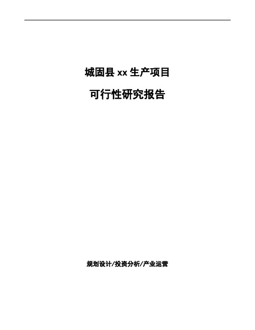 城固县企业投资项目可行性研究报告