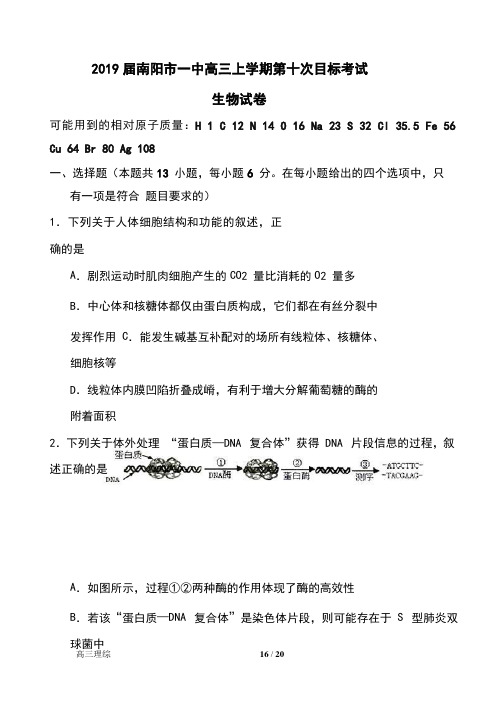 2019届河南省南阳市一中高三上学期第十次目标考试生物试卷及答案