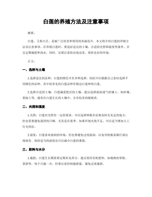 白莲的养殖方法及注意事项