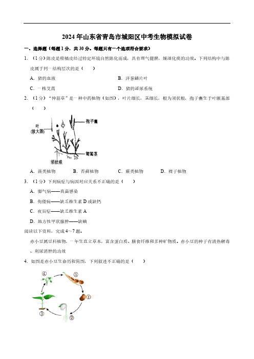 2024年山东省青岛市城阳区中考生物模拟试卷(含解析)