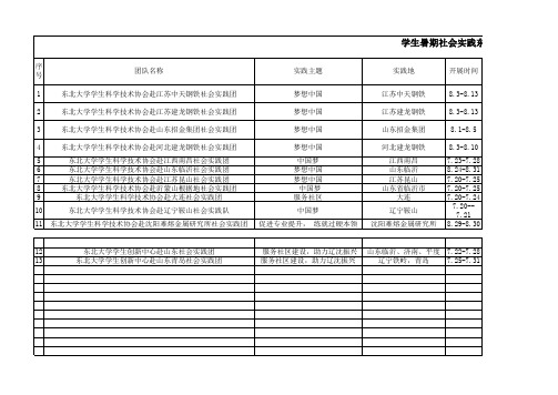 暑期社会实践XX学院申请团队汇总表