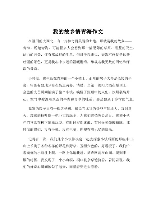 我的故乡情青海作文