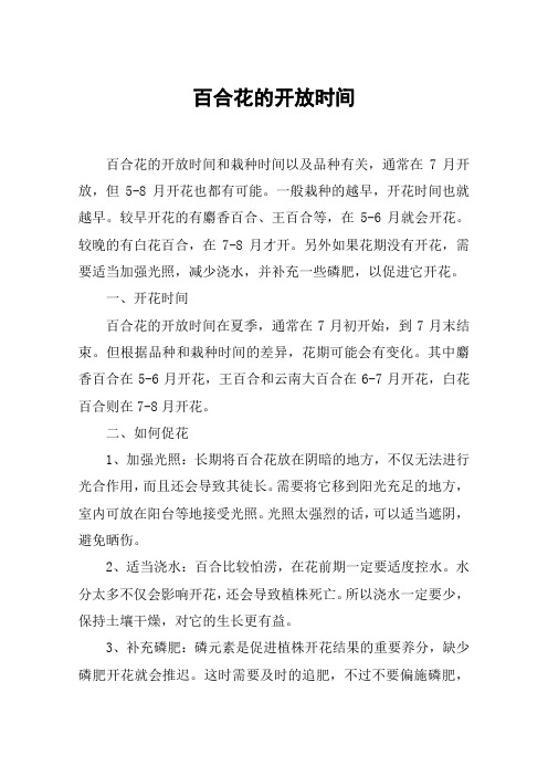 百合花的开放时间