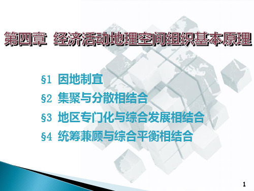 经济地理学二版刘艳芳经济活动地理空间组织的基本原理PPT课件