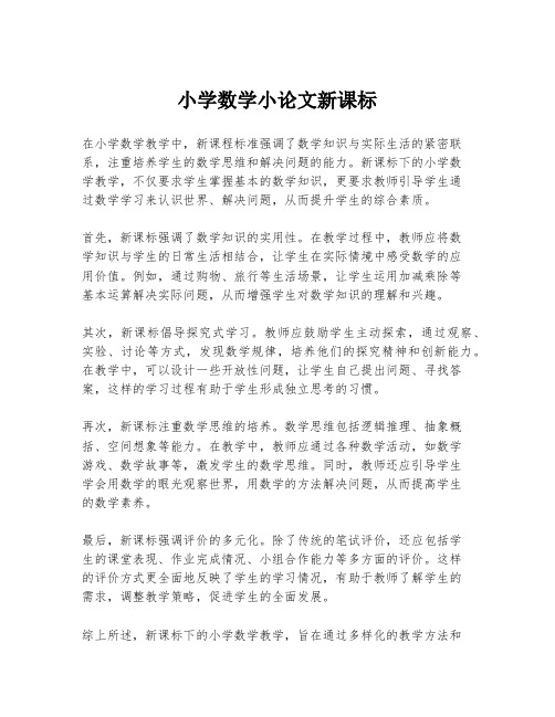 小学数学小论文新课标