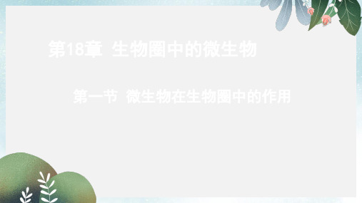 八年级生物上册18.1微生物在生物圈中的作用课件2新版北师大版