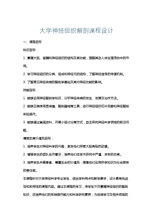 大学神经组织解剖课程设计