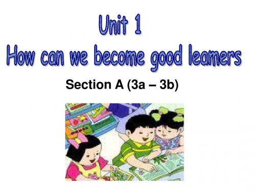 人教版九年级Unit1 How can we become good leamers Section A 3a–3b课件(共24张PPT)