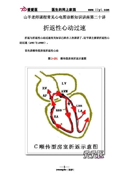 (二十)折返性心动过速