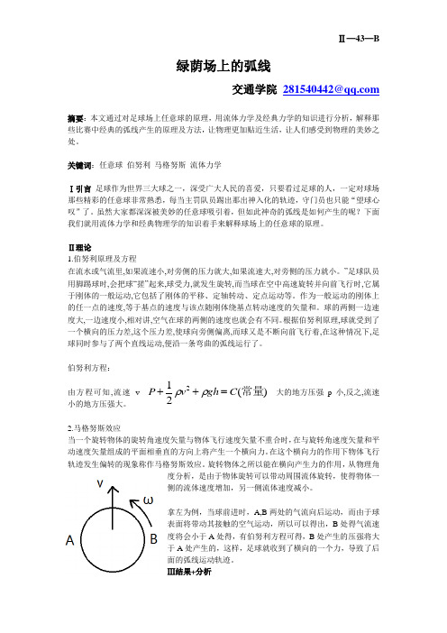 绿荫场上的弧线