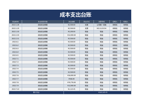 成本支出台账表