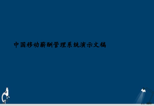 中国移动薪酬管理系统演示文稿