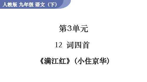 人教版九年级语文下册RJ教学课件 第3单元 12 词四首 满江红