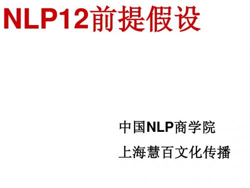 NLP.12条