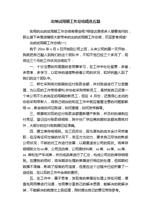 出纳试用期工作总结精选五篇